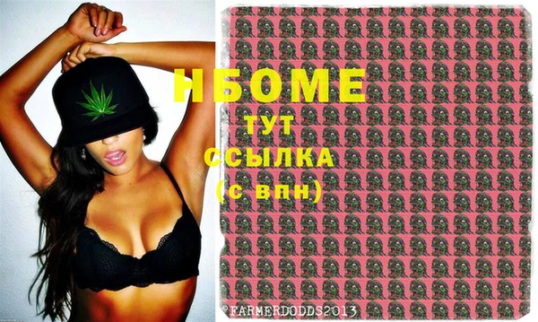 индика Волосово