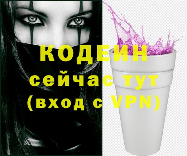 хмурый Верея