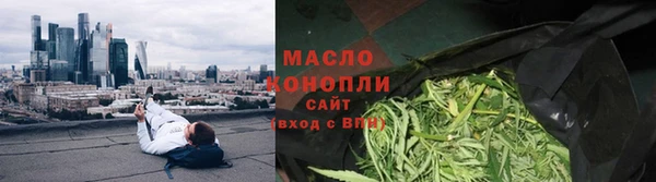 индика Верхний Тагил