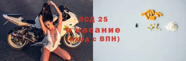 хмурый Верея
