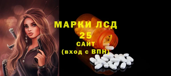 индика Волосово