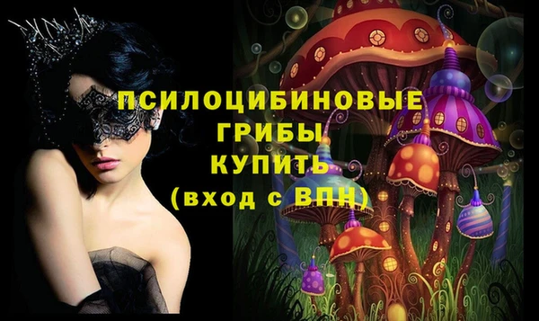 хмурый Верея