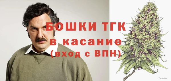 хмурый Верея
