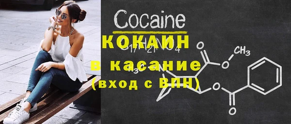 индика Верхний Тагил