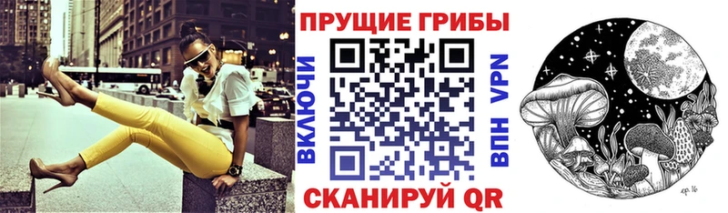 Галлюциногенные грибы Psilocybe  Калтан 